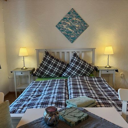 Appartamento Gut Steinhuegel Bischofsmais Esterno foto
