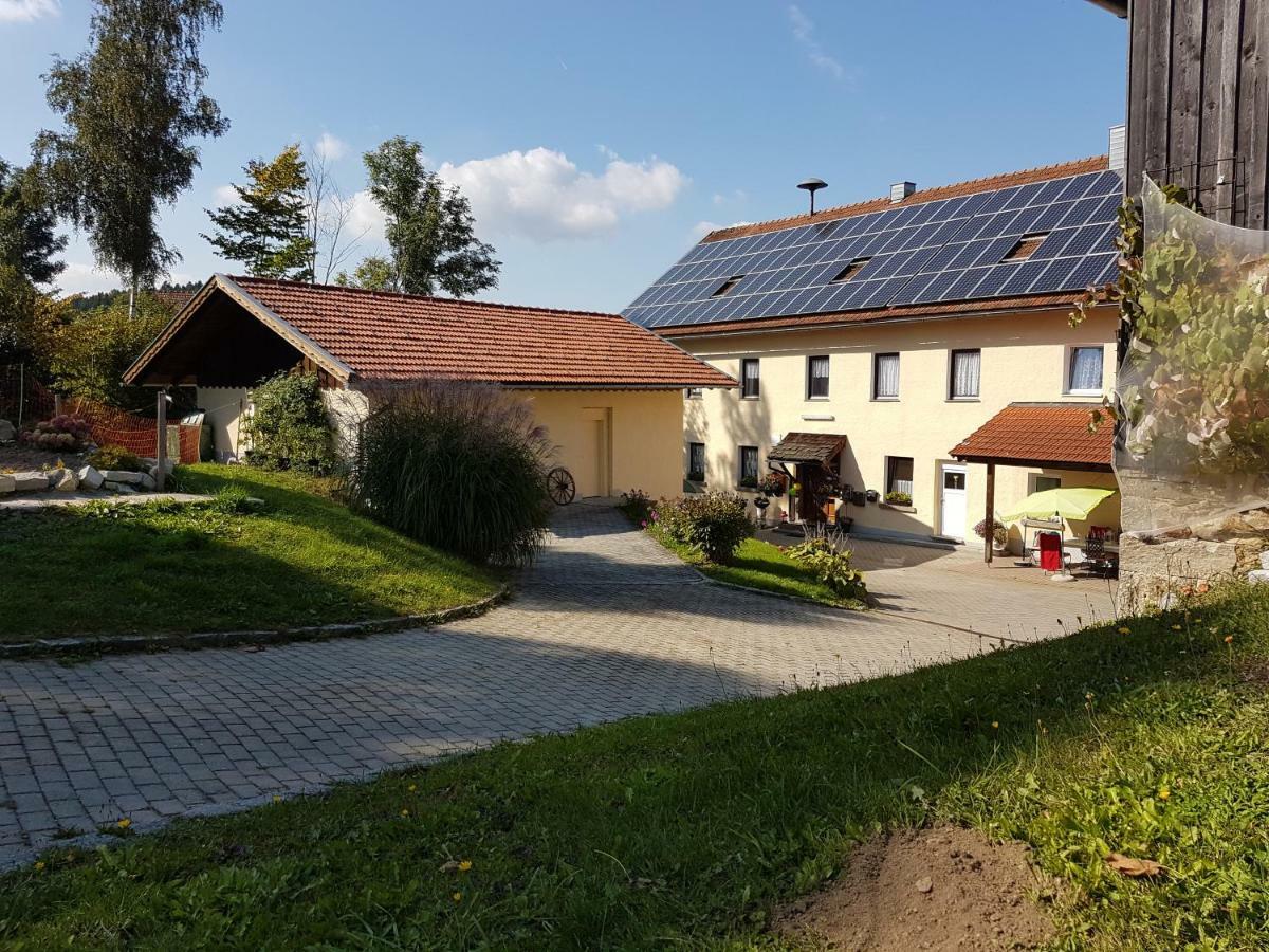 Appartamento Gut Steinhuegel Bischofsmais Esterno foto