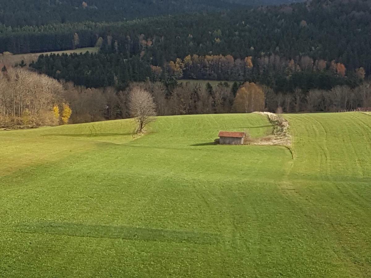 Appartamento Gut Steinhuegel Bischofsmais Esterno foto
